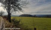 Tocht Stappen Trois-Ponts - GR 5 EN BOUCLE LIEGE TOME 2 rando 29 14km - Photo 11