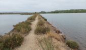 Tocht Stappen Sigean - Les Salins de Sigean - Photo 1