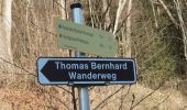 Tocht Te voet Sankt Veit im Pongau - St. Veit-Kinderalm über Seelacken - Photo 9