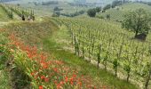 Tocht Stappen Barolo - Barolo Vergne Novello - Photo 4