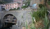 Excursión A pie Riomaggiore - Riomaggiore – Sella La Croce – Carpena – La Foce - Photo 8