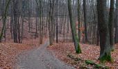 Randonnée A pied Hory - NS Doubí - Svatošské skály - Photo 4