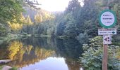 Excursión Senderismo La Bresse - VOSGES 2023 - Jour 1 - Le Lac aux Corbeaux - Photo 9