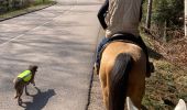 Trail Horseback riding Raon-l'Étape - Yogo Claude tivio kaline - Photo 14