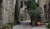 Tour Wandern Les Matelles - Matelles_St-Jean-de-cucules - Photo 2
