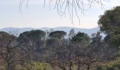 Randonnée Marche Vidauban - Vidauban - Cascades de l'Aille - Photo 10