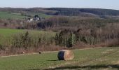 Tour Wandern Havelange - Boffeu -Chardeneux - Méan - Photo 5