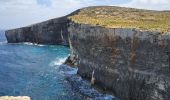 Tocht Stappen Għajnsielem - MALTE 2024 / 04 COMINO ISLAND - Photo 11