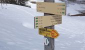 Trail Snowshoes La Clusaz - beauregard via la clusaz - Photo 3