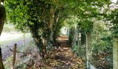 Randonnée Marche Incourt - Promenade du Tumulus (6,1km)  - Photo 6