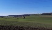 Tour Wandern Ciney - TOUR REGION CINEY  - Photo 2