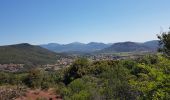 Tocht Stappen Le Puech - Les Vailhès Laulo Plateau d'Auverne Salagou - Photo 1