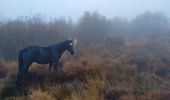 Excursión Senderismo Rosis - Caroux dans le brouillard  - Photo 4