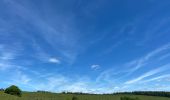 Trail Walking Recoules-d'Aubrac - Au temps des fleurs et des genêts - Photo 16