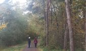 Trail Nordic walking Sprimont - Banneux_Val_02_11_2020 - Photo 14