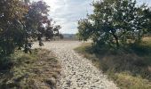 Excursión Senderismo Loon op Zand - Loonse Park Roestelberg 22,8 km - Photo 16