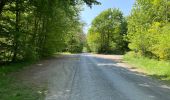 Trail Walking Compiègne - en Forêt de Compiègne_50_les Routes des Beaux Monts, de Morpigny et des Nymphes - Photo 5