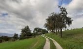 Randonnée Marche Alby-sur-Chéran - Promenade des Pommiers  - Photo 13