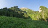 Tocht Te voet okres Poprad - Náučný chodník Monkova dolina - Photo 2