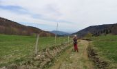 Trail Walking Masevaux-Niederbruck - Bruckenwald 2 - Photo 7