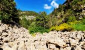 Tocht Stappen Le Dévoluy - Vallons des Adroits et Girier Via Lachap - Photo 1