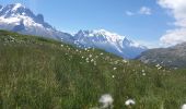 Trail Walking Chamonix-Mont-Blanc - Aiguillette des Posettes 2201m 6.7.22 - Photo 5