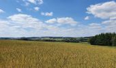 Tocht Stappen La Roche-en-Ardenne - rando warempage 13/07/2020 - Photo 10