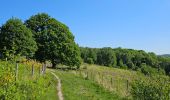 Trail Walking Liège - A la découverte du Sart-Tilman 🥾 - Photo 7