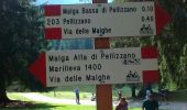 Percorso A piedi Pellizzano - IT-O243 - Photo 8