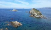 Trail Walking Hyères - Tour ouest de la presqu'île de Giens - Photo 4