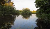 Percorso A piedi Lübben (Spreewald) - Rundwanderweg Fischteiche - Photo 1