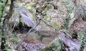 Randonnée Marche Seillans - Bories de Seillans,  la Camandre, vallon des combes longues  - Photo 3