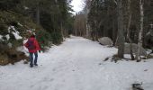 Trail Walking La Llagonne - 2024-01-22 Les bouillouses  - Photo 15