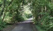 Tour Wandern Gisors - Gisors voie verte jusqu'à Beausséré - Photo 6