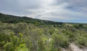 Trail Walking Remoulins - Pont du Gard - Photo 3