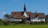 Tour Zu Fuß Kappel am Albis - Chlostermatt - Ober Rifferswil - Photo 8