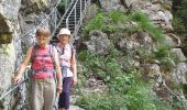 Randonnée Marche Le Valtin - Route des Roches. Schlucht-Hohneck - Photo 9