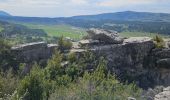 Trail Walking Caussols - De Caussols vers le sommet et le plateau de Calern - Photo 10