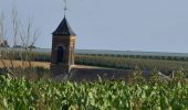 Tour Wandern Heers - Wikiloc Hornebos  (PVDB) - Photo 19