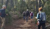 Excursión Senderismo Gonfaron - Gonfaron vautaillede - Photo 18