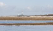 Tour Wandern Saint-Denis-d'Oléron - La Gautrie 26 octobre 2021 - Photo 5