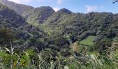 Randonnée Marche Grand'Rivière - Boucle Fonds Moulin - Photo 18