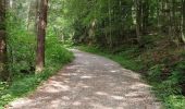 Trail Walking Metzeral - lac de schiessrothried par vallée de la wormsa  - Photo 20
