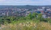 Tour Wandern Charleroi - CHARLEROI-  TERRIL DES PIGES dép place Levie - Photo 2