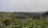 Tour Wandern Vindry-sur-Turdine - Autour de Saint loup  - Photo 10