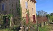 Randonnée Marche Labastide-de-Virac - Les gorges par 1000 étoiles  - Photo 2