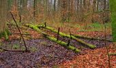 Tocht Te voet Horgen - Schnabellücke - Langnau Gattikon - Photo 8