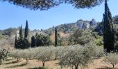Randonnée Marche Tarascon - CR_Domitia_BA_23_Tarascon_St-Remy-Provence_20220404 - Photo 1