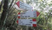 Randonnée A pied Capizzone - Sentiero 583: Medega (Capizzone) - Passo del Canto - Photo 7