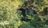 Tour Wandern Carcès - Bords de l'Argens, lac de Carcès, 11-10-23 - Photo 6